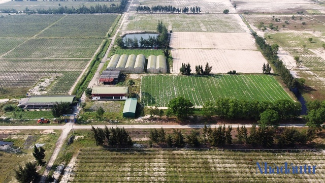  Dự án nông nghiệp của FLC ở Hà Tĩnh đứng trước nguy cơ bị thu hồi - Ảnh 3.