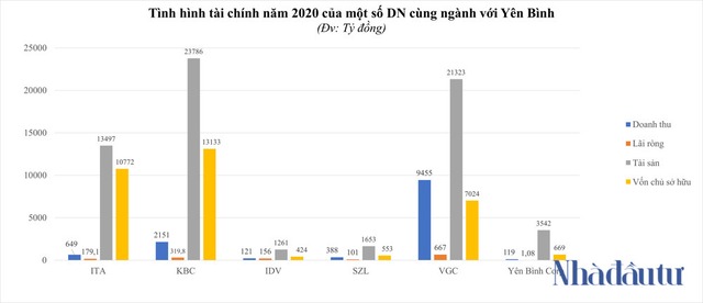  Sở hữu siêu dự án 8.000ha, Yên Bình Corp làm ăn ra sao? - Ảnh 2.