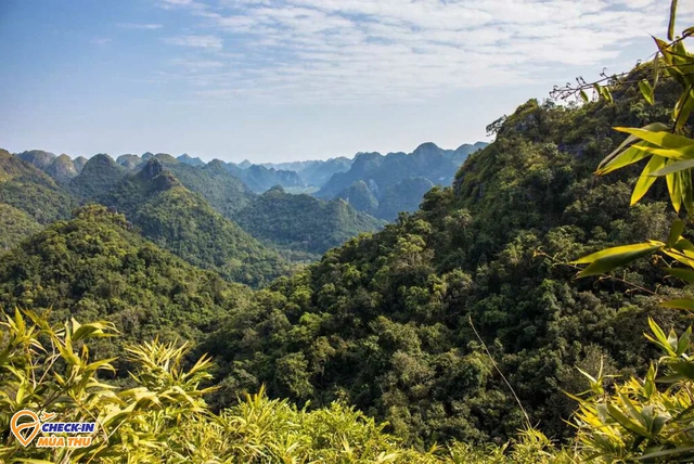 The 11 most beautiful islands in Vietnam: There is a place called the Maldives of the S-shaped strip of land - Photo 3.