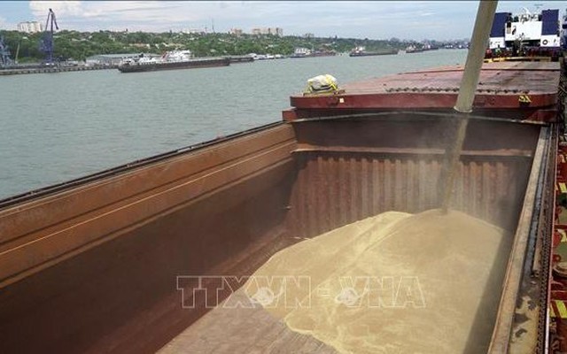 Ngũ cốc được chuyển lên tàu chở hàng tại cảng quốc tế Rostov-on-Don, Nga ngày 26/7/2022. Ảnh: AFP/TTXVN