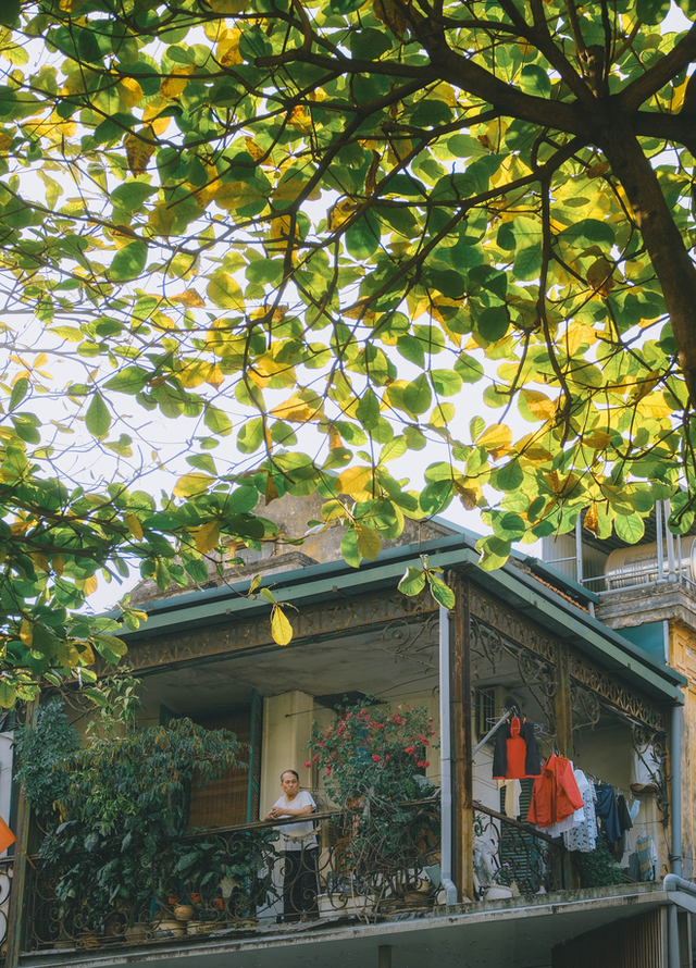 The heartbreakingly beautiful moments of the autumn sky in Hanoi make everyone bewildered - Photo 10.