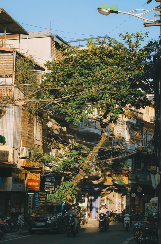 Những khoảnh khắc đẹp đến nao lòng của trời thu Hà Nội khiến ai cũng phải ngẩn ngơ - Ảnh 4.