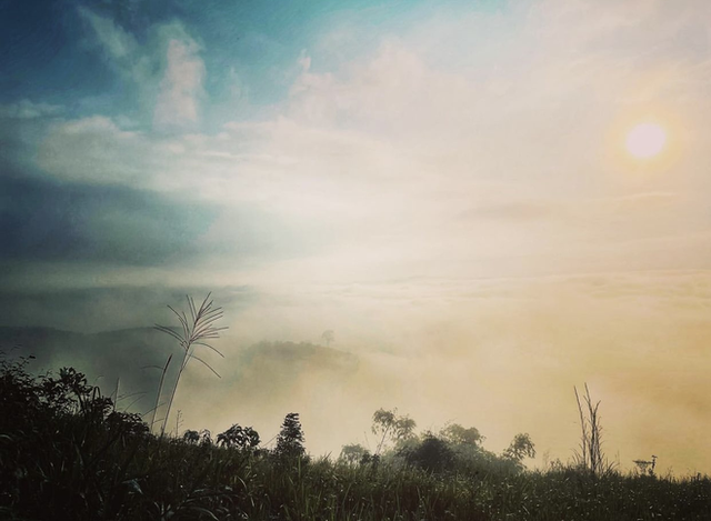 Young people seek reward points for clouds and dreamy scenery in Bao Loc - Photo 15.