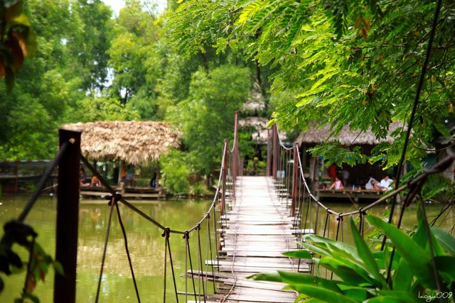 Recreational fishing places in Hanoi help dispel all sorrows - Photo 4.