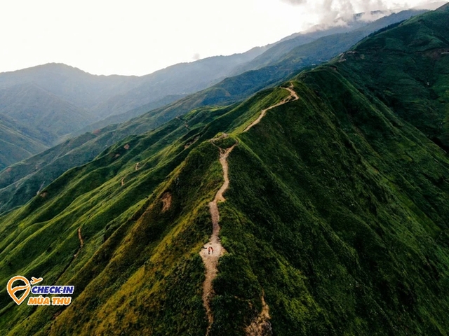 In Quang Ninh, there is a craggy mountain area, known as one of the most difficult places to go in Vietnam - Photo 7.