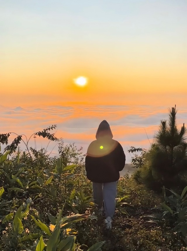 Young people seek reward points for clouds and dreamy scenery in Bao Loc - Photo 9.