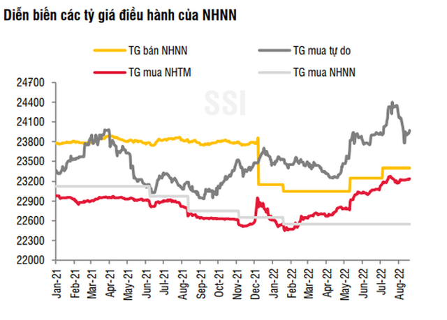 “Ẩn số” tỷ giá - Ảnh 1.