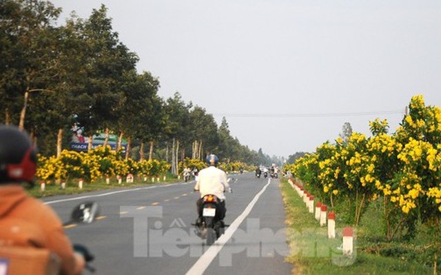 Quốc lộ 61C qua Hậu Giang. Ảnh: Cảnh Kỳ