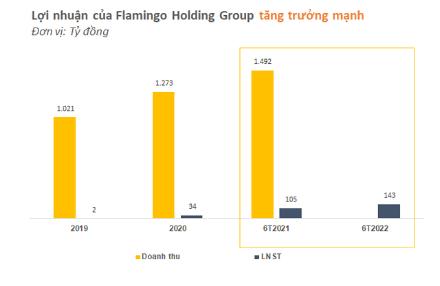 Sau “Gà vàng” Flamingo Cát Bà, nhờ đâu LNST 6T2022 của Flamingo Holding vẫn tăng 2 chữ số? - Ảnh 1.