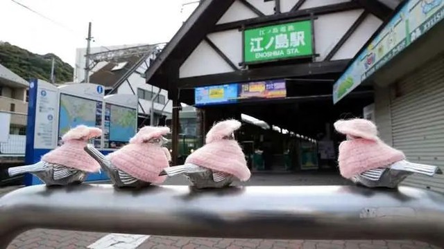 Người phụ nữ đan áo cho đàn chim sắt, biến chúng thành biểu tượng du lịch của Nhật Bản - Ảnh 6.