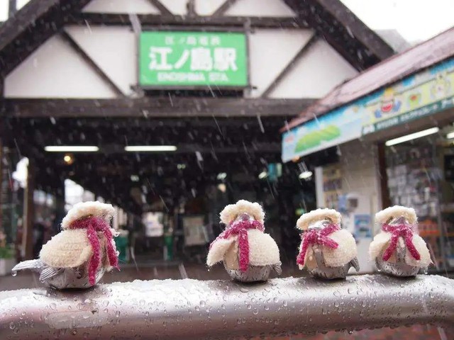 Người phụ nữ đan áo cho đàn chim sắt, biến chúng thành biểu tượng du lịch của Nhật Bản - Ảnh 2.