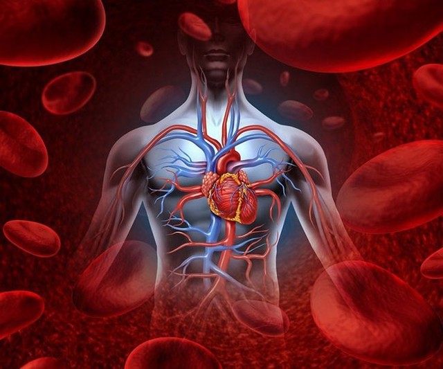 Khi bệnh tim “tấn công”, trên cơ thể sẽ có 3 phản ứng kỳ lạ - Ảnh 1.