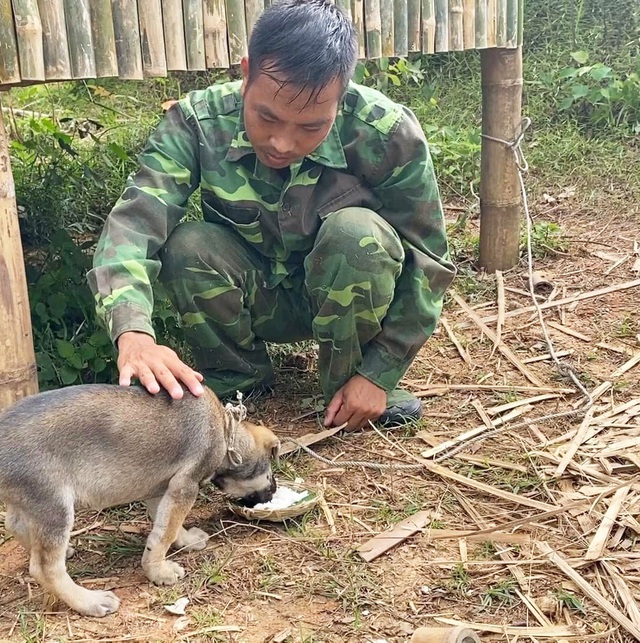 Chàng trai bỏ phố về giữa rừng dựng nhà tre để ở: Cô đơn nhưng yên bình, nuôi mơ ước lớn - Ảnh 11.