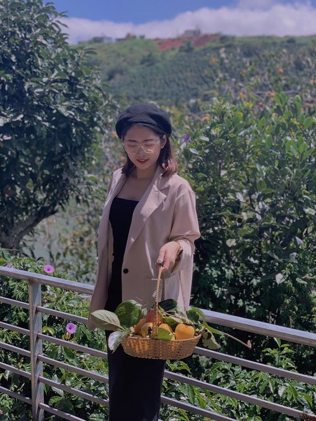 5 fruit-laden persimmon gardens in Da Lat that are both beautiful and satisfying to eat on the spot are waiting for you to visit - Photo 20.