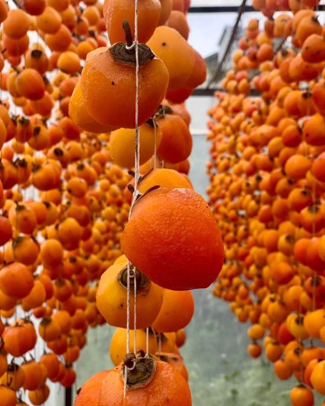 5 fruit-laden persimmon gardens in Da Lat that are both beautiful and satisfying to eat on the spot are waiting for you to visit - Photo 18.