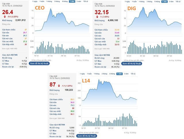 Từng làm mưa, làm gió trên thị trường, các “siêu cổ phiếu” DIG, CEO, L14 và “họ” FLC giờ ra sao? - Ảnh 1.