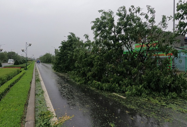  Hình ảnh thiệt hại ban đầu do bão Noru gây ra tại Đà Nẵng - Ảnh 9.