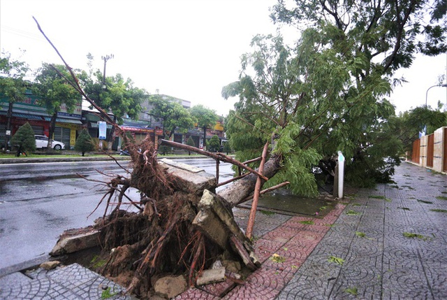  Hình ảnh thiệt hại ban đầu do bão Noru gây ra tại Đà Nẵng - Ảnh 5.