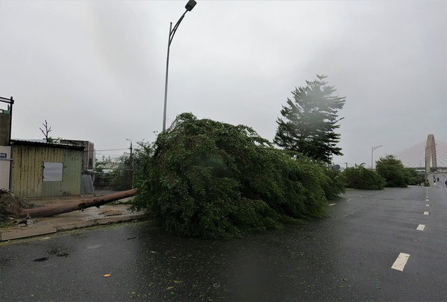  Hình ảnh thiệt hại ban đầu do bão Noru gây ra tại Đà Nẵng - Ảnh 2.