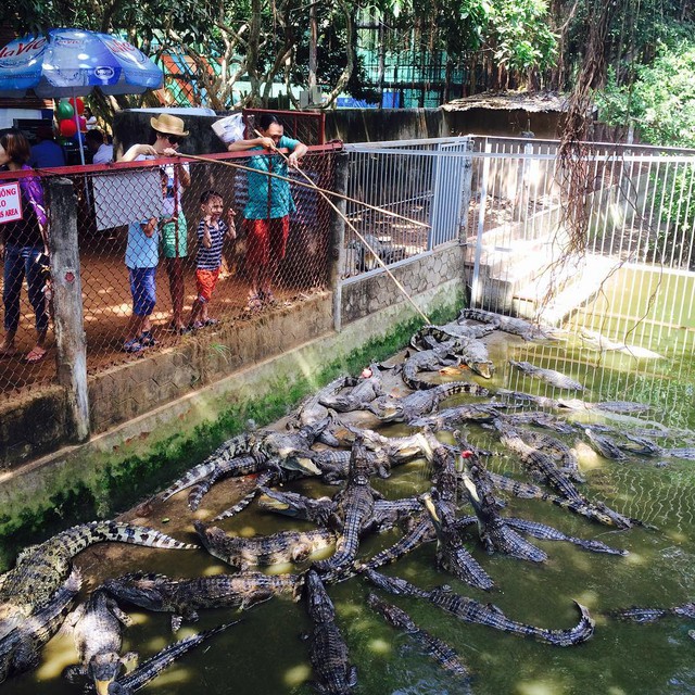 Dispel stress with 5 Western-style eco-tourism areas "close to the wall" of Ho Chi Minh City - Photo 27.