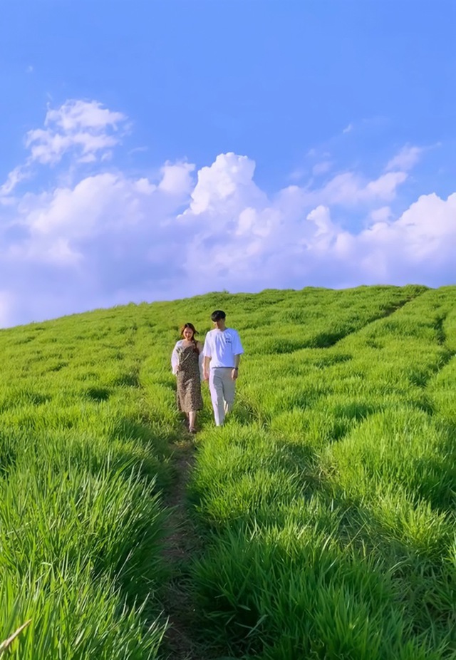 Enjoying a long vacation, young people invite each other to "hunt photos" in the green meadow in the heart of Moc Chau - Photo 9.