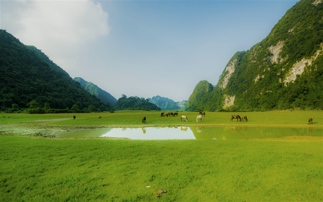 The green steppe regions in Vietnam make visitors nostalgic at first sight - Photo 15.
