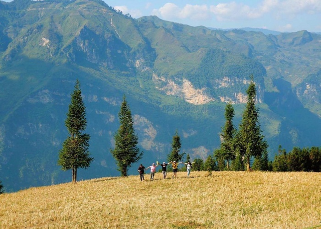 The green steppe regions in Vietnam make visitors nostalgic at first sight - Photo 5.