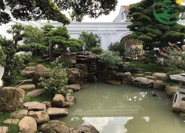 Vườn Nhật, cá koi - thú chơi tiền tỷ của nhà giàu Việt - Ảnh 1.