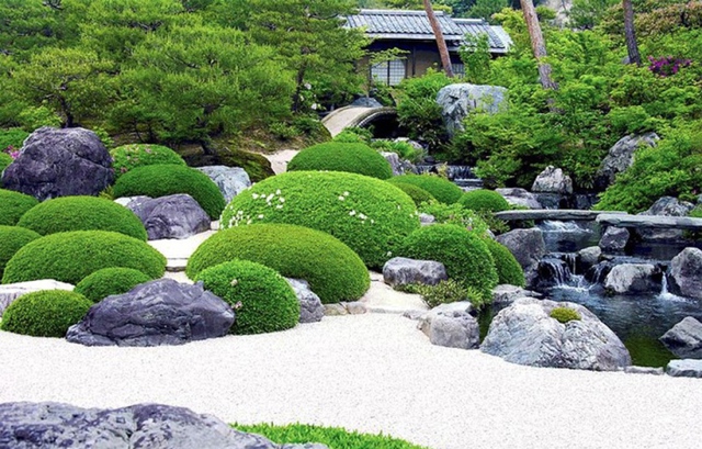 Vườn Nhật, cá koi - thú chơi tiền tỷ của nhà giàu Việt - Ảnh 3.