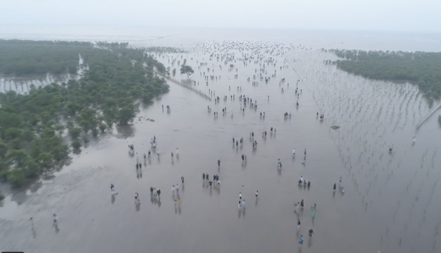 Laughing "belly" with the latest series of images of the infinity sea of ​​Thai Binh - Photo 4.