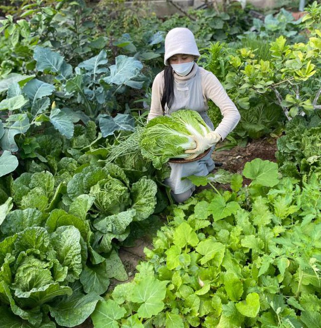 Lần đầu trồng rau nản muốn bỏ, vườn của bà mẹ Quảng Ninh hiện giờ khiến bao người mê - Ảnh 2.