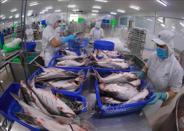 Xuất khẩu tôm và cá tra tăng trưởng trái chiều - Ảnh 2.