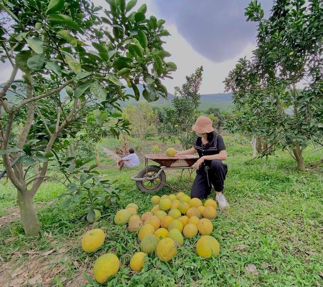 Lần đầu trồng rau nản muốn bỏ, vườn của bà mẹ Quảng Ninh hiện giờ khiến bao người mê - Ảnh 10.