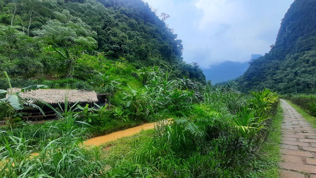 Going back to Pu Luong embraces the scenery of green mountains and blue water - Photo 4.