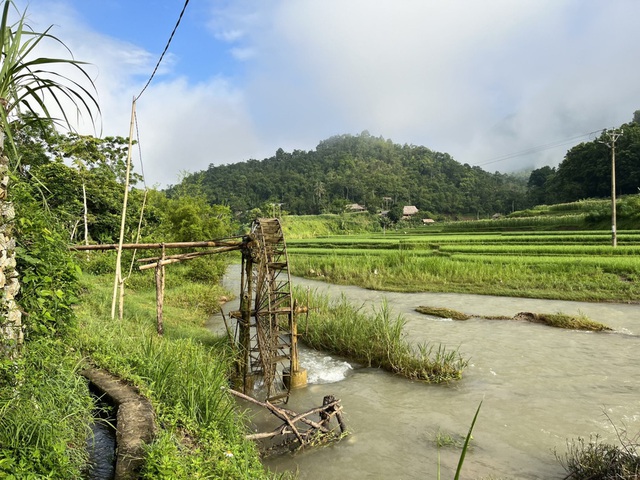 Going to Pu Luong embraces the scenery of green mountains and blue water - Photo 5.