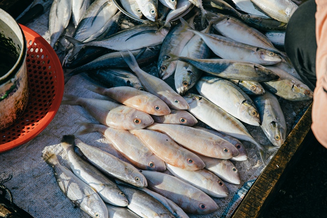 Có gì trong khu chợ hải sản nức tiếng giá rẻ giật mình nằm giữa phố thị vùng biên độc nhất miền Tây? - Ảnh 10.