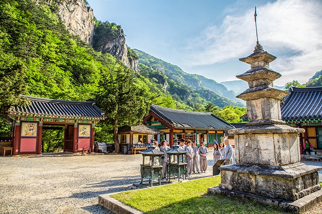 Đưa du khách vào chùa tu: Mô hình du lịch gây sốt ở Hàn Quốc - Ảnh 1.