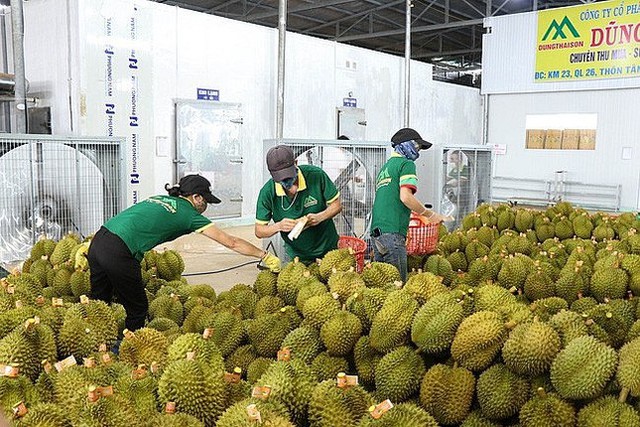 Nông sản Việt Nam xuất khẩu sang Trung Quốc dự báo ‘bùng nổ’ - Ảnh 1.