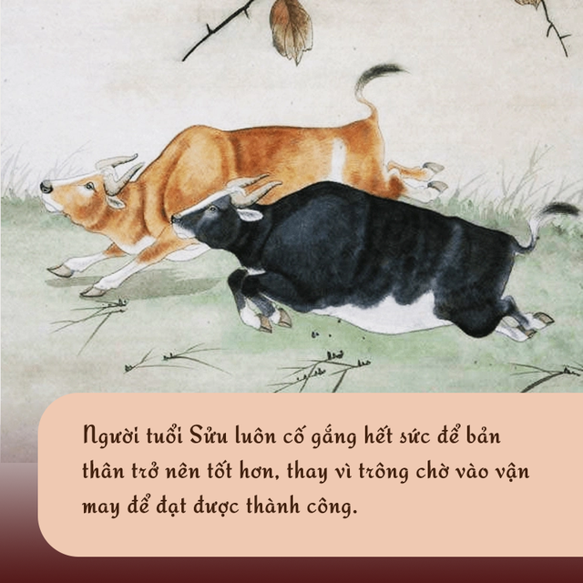 Năm 2023, có 4 con giáp như cá vượt vũ môn, bước đầu trắc trở nhưng là tiềm năng để càng làm càng lớn, vận khí lội ngược dòng - Ảnh 2.