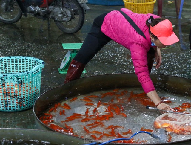 Chợ cá Yên Sở rực sắc đỏ, nhộn nhịp trước ngày cúng ông Công - ông Táo - Ảnh 6.