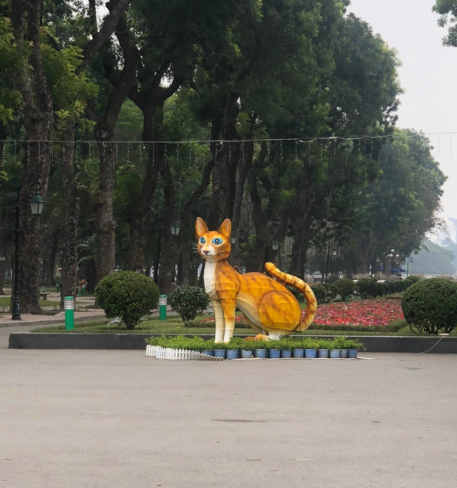 Cộng đồng mạng rần rần với những linh vật mèo gây sốt của các tỉnh thành khắp Việt Nam - Ảnh 4.