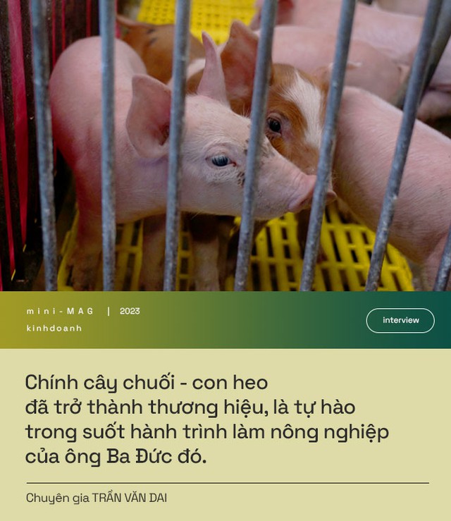 Công thần giúp “hồi sinh” HAGL tiết lộ công thức đặc biệt tạo ra “heo ăn chuối” và quan hệ kỳ lạ với bầu Đức - Ảnh 13.