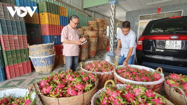 Doanh nghiệp nông sản “loay hoay” khi Trung Quốc mở cửa khẩu - Ảnh 2.