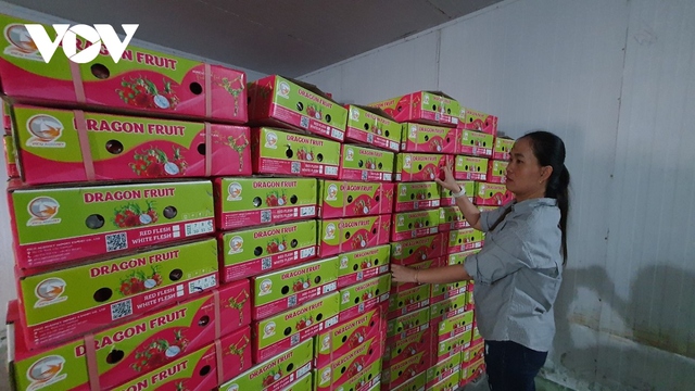 Doanh nghiệp nông sản “loay hoay” khi Trung Quốc mở cửa khẩu - Ảnh 1.