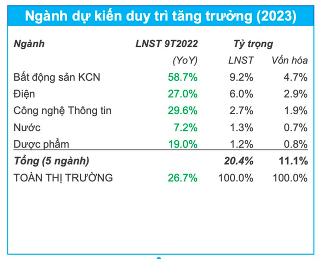 Nhiều ngôi sao tăng trưởng năm trước dự kiến suy giảm, quán quân lợi nhuận 2023 sẽ thuộc về nhóm ngành nào? - Ảnh 1.