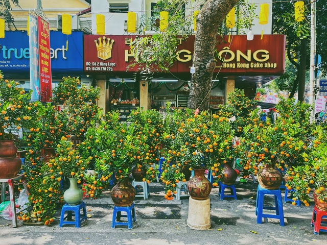 Hang Luoc flower market - A cultural rendezvous with the old Tet taste of Ha Thanh people - Photo 8.