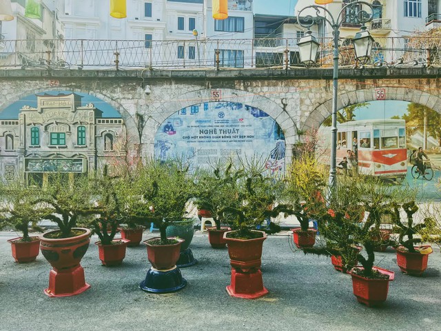 Hang Luoc flower market - A cultural rendezvous with the old Tet flavor of the Ha Thanh people - Photo 18.