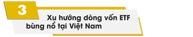 Chủ tịch KIM Việt Nam: ChẢnh 5.