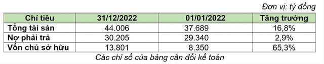 Bamboo Capital (BCG): Doanh thu năm 2022 đạt hơn 4.531 tỷ, lợi nhuận sau thuế hơn 546 tỷ - Ảnh 2.