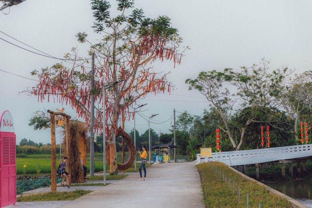 Can Tho giants spend billions to build an "ecological area" of more than 10,000 square meters next to the mansion for people to enjoy Tet completely free - Photo 2.